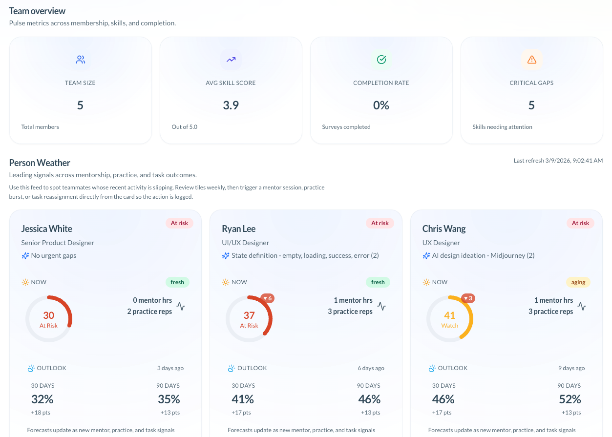 Team Overview